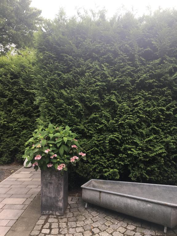 Ferienhaus Am Park لبسيا المظهر الخارجي الصورة